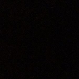 Meet your Posher, Ann